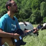 WTF! Teràpia de Shock canten a les vaques