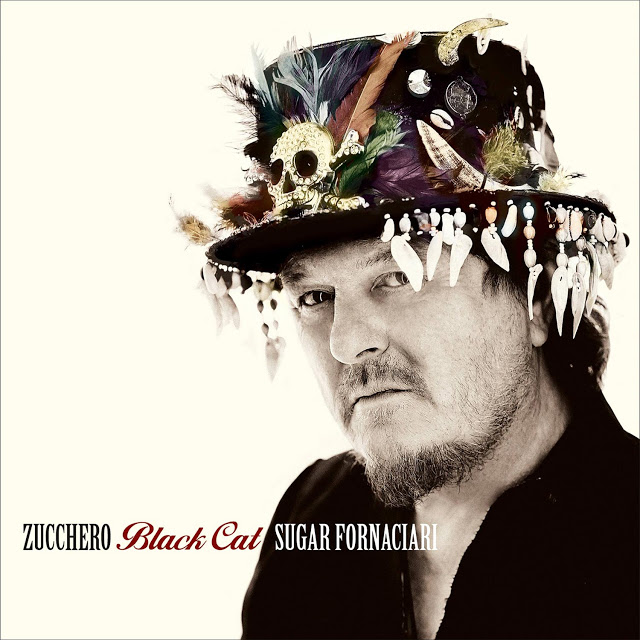 zucchero_black_cat-portada