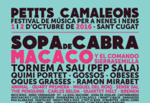 Cartell complet del Petits Camaleons