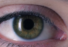 Yellowcard presenten el vídeo de The Hurt is Gone