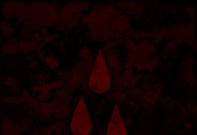 AFI anuncien disc pel gener