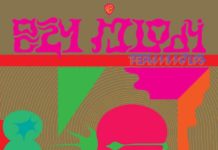 The Flaming Lips anuncien nou disc