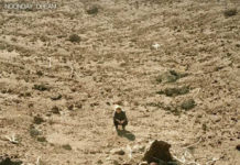 Les novetats discogràfiques en streaming: Ben Howard, Morcheeba, Father John Misty, Paula Valls