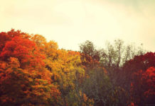 10 cançons per a superar la fi de l’estiu