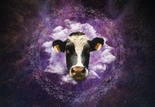 The Strokes, The Good The Bad and The Queen, The Prodigy o Primal Scream al Doctor Music Festival