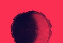 Xarxa publica “La vida i el foc”