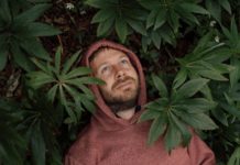 Guillem Ramisa ens regala per aquest Sant Jordi ‘D’on ve la sort?’