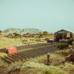 El Festival Sons del Món presenta la programació d’aquest 2021