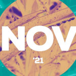 Les cançons de novembre 2021