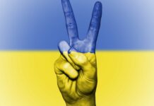 La Sala Luz de Gas acollirà un concert solidari pel poble ucraïnès