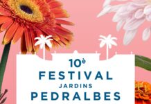 El Festival de Pedralbes presenta el cartell de la desena edició