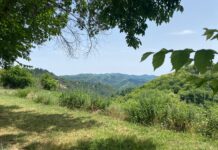 La Ludwig Band, Sexenni, Tramma i GRABU a l’Isard Fest