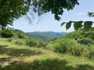 La Ludwig Band, Sexenni, Tramma i GRABU a l’Isard Fest