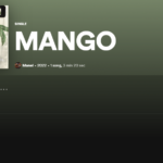 Apareix una suposada cançó de Manel a Spotify, però realment no ho és
