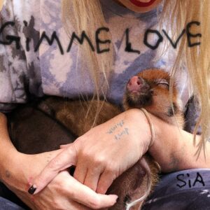 Sia anuncia el seu retorn amb ‘Gimme love’