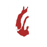 Afinant l’oïda: Vittara, Socunbohemio, Habla de mi en presente