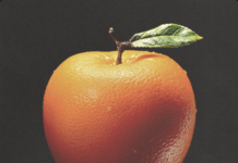 Afinant l’oïda: Fred again…, Rawpublik i Jordan Ward