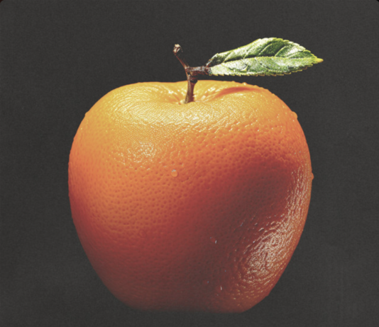 Afinant l’oïda: Fred again…, Rawpublik i Jordan Ward