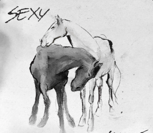 “SexySensible”: el primer àlbum de Mushkaa