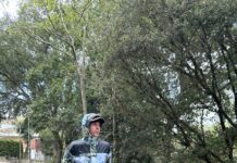 “VAM NÉIXER PER FER AIXÒ” el nou àlbum del Lluc i el més personal