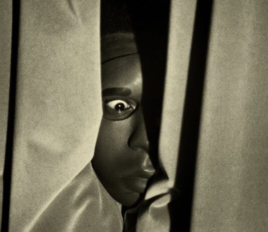 Afinant l’oïda: Tyler, The creator, Jean Dawson i Ari Lennox Tyler-The-Creator