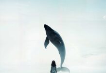 Miquel Abras ens emociona amb ‘Filla del mar’