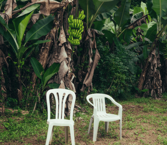 Afinant l’oïda: Bad Bunny, Joy Crookes i Giveon Bad Bunny