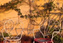 Dinou s’estrena amb “De la terra al cel”