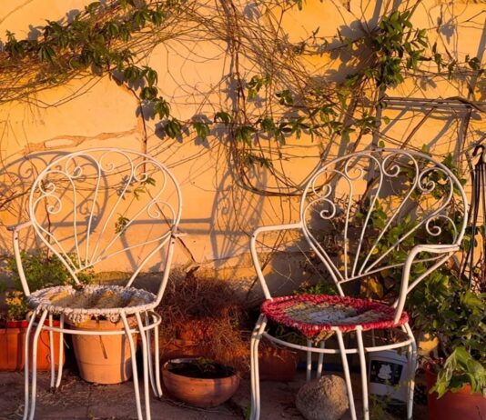 Dinou s’estrena amb “De la terra al cel”