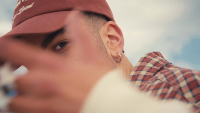 will xo
