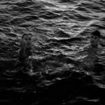 Primera Llista – 3 al 9 gener