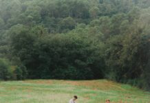 Iglú construeix  “EL REFUGI” perfecte per a la nostàlgia