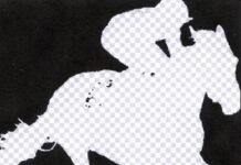 Gavina.mp3 consolida el seu so a “SEMPRE I PER INSTINT”