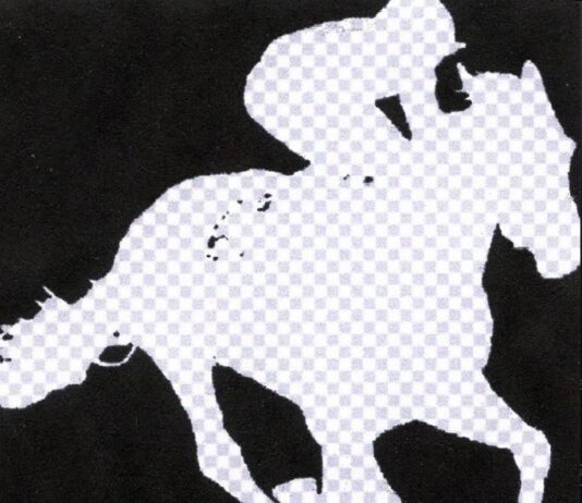 Gavina.mp3 consolida el seu so a “SEMPRE I PER INSTINT”