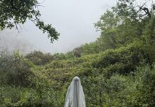 Ferran Palau obre nova etapa amb el seu vuitè disc: “Aniversari Feliç”