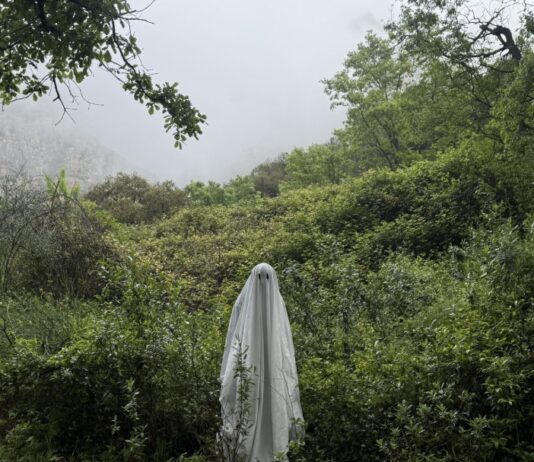 Ferran Palau obre nova etapa amb el seu vuitè disc: “Aniversari Feliç”