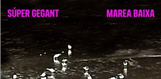 Super Gegant avança l’estiu amb “Marea Baixa”